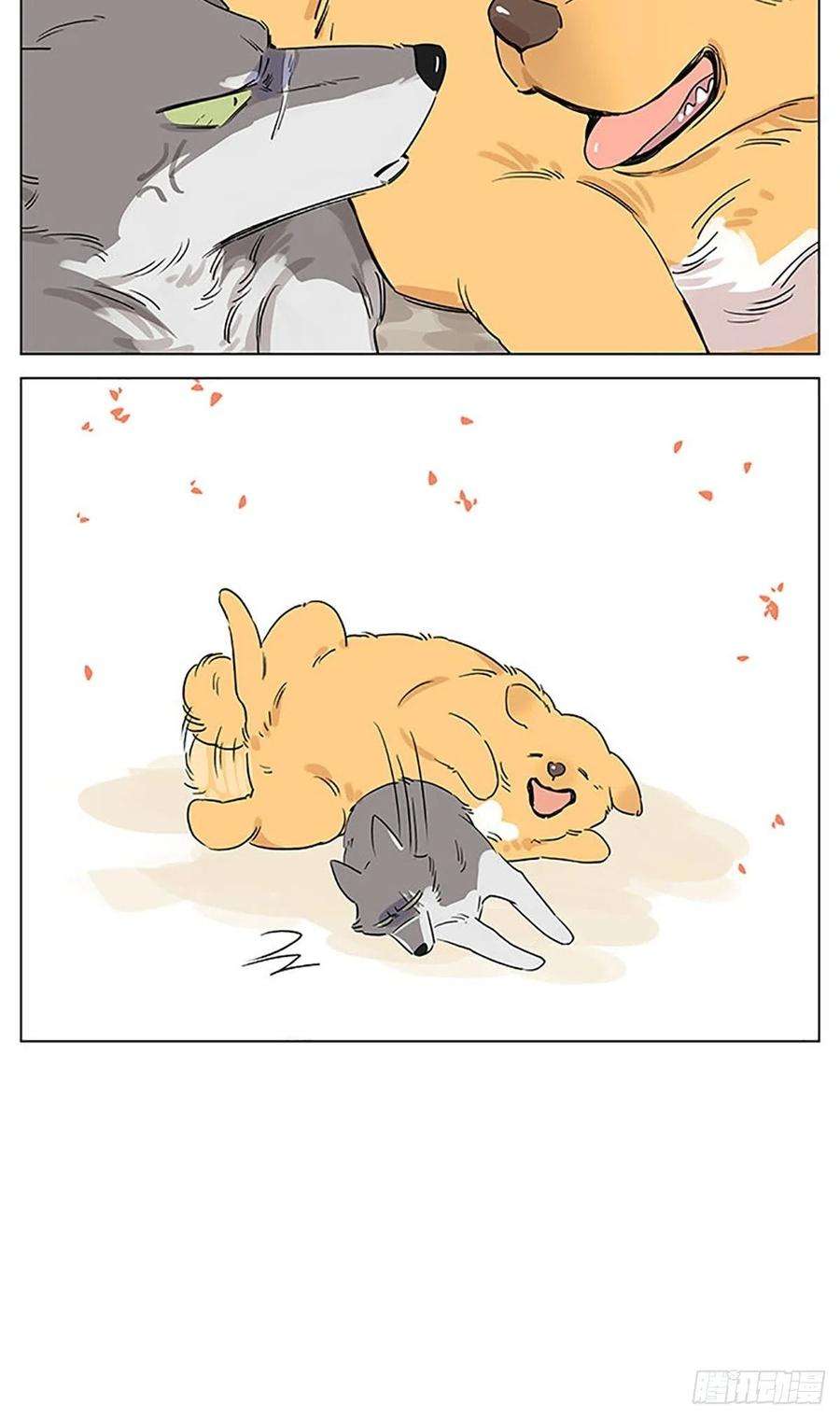 捡了东西的狼来玩游戏吧~