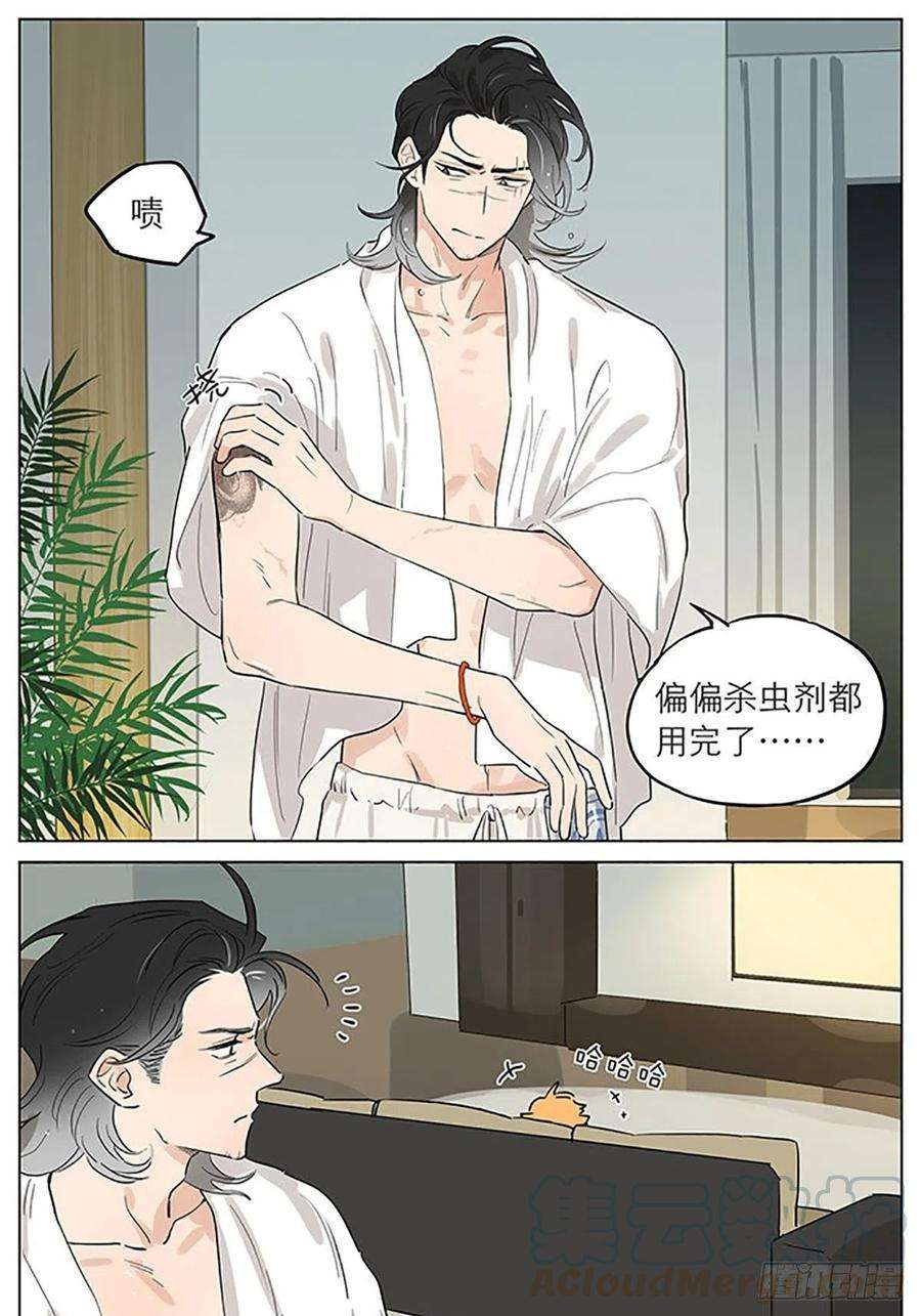 捡了东西的狼有蚊子。