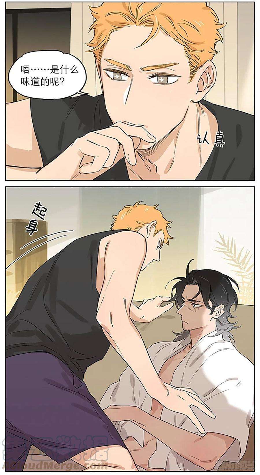 捡了东西的狼有蚊子。