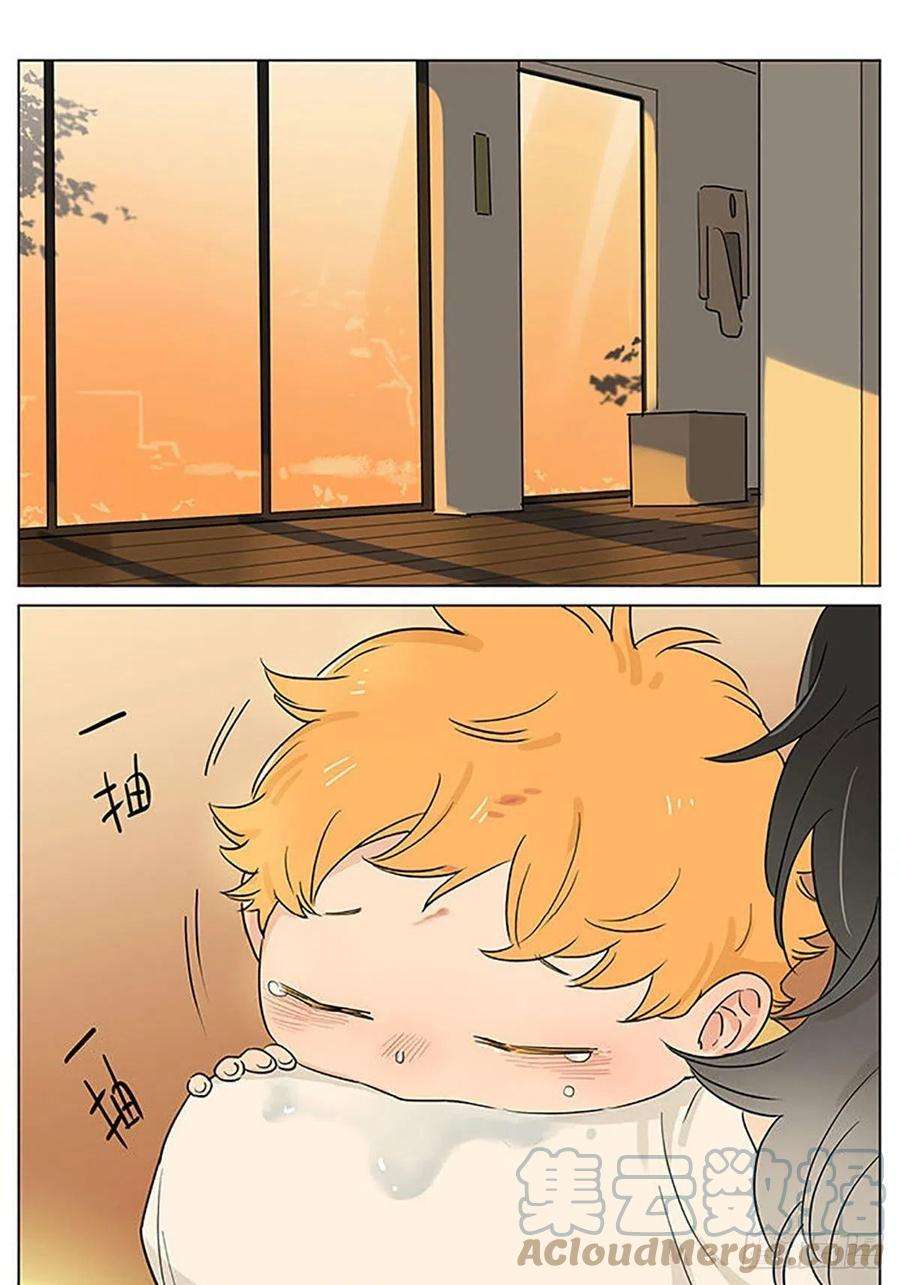 捡了东西的狼睡着了。