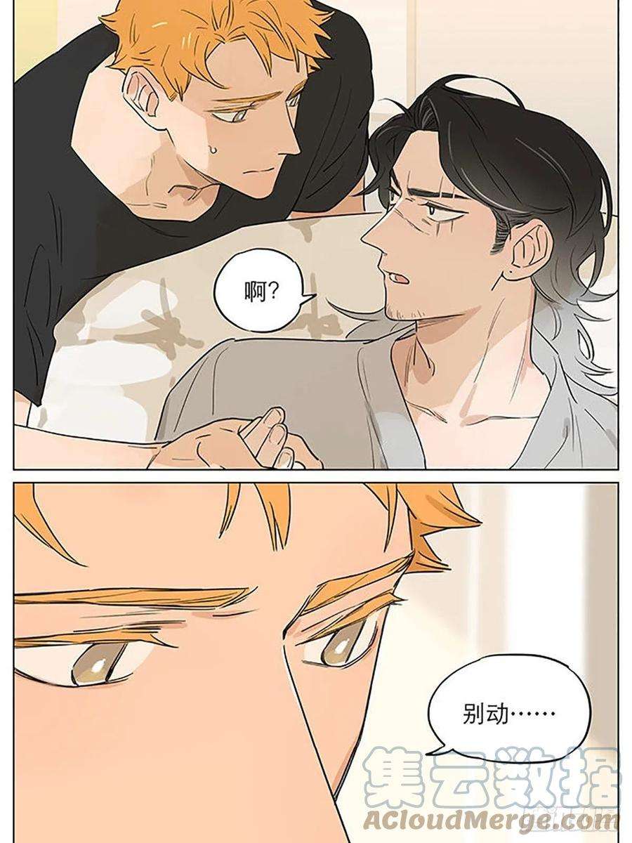 捡了东西的狼来一丢丢大土豆