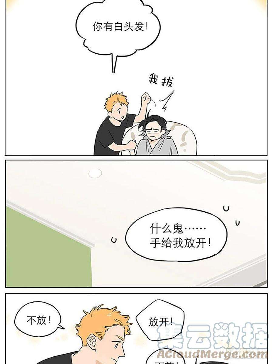 捡了东西的狼来一丢丢大土豆