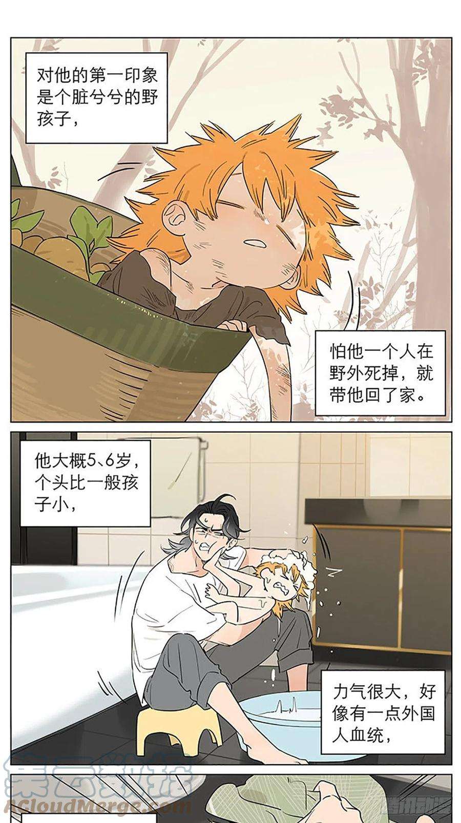 捡了东西的狼雨。