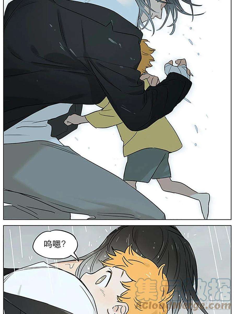 捡了东西的狼雨。