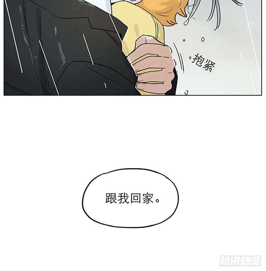 捡了东西的狼雨。