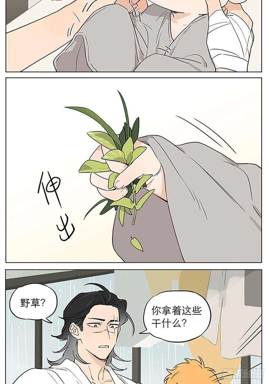 捡了东西的狼还是那个下雨天~