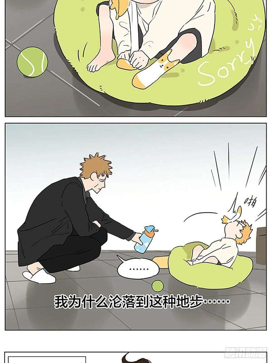 捡了东西的狼发烧