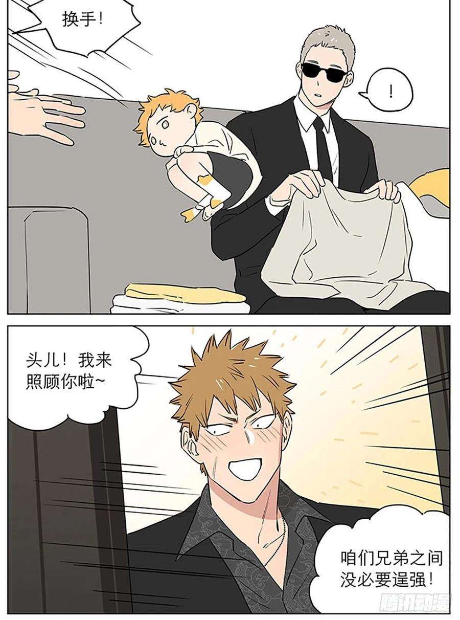 捡了东西的狼发烧