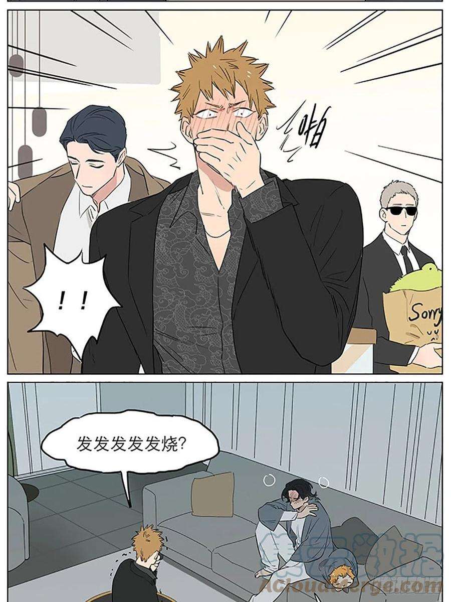 捡了东西的狼发烧