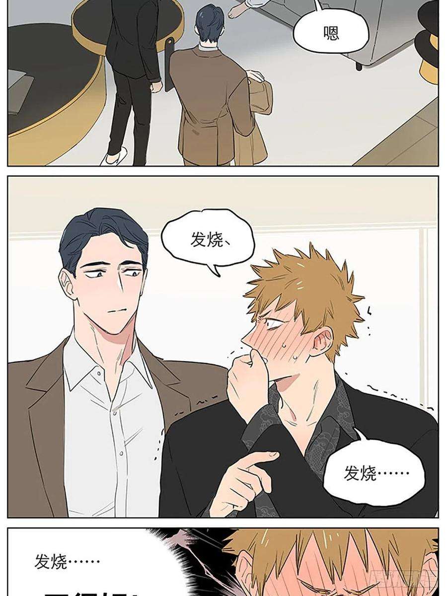 捡了东西的狼发烧