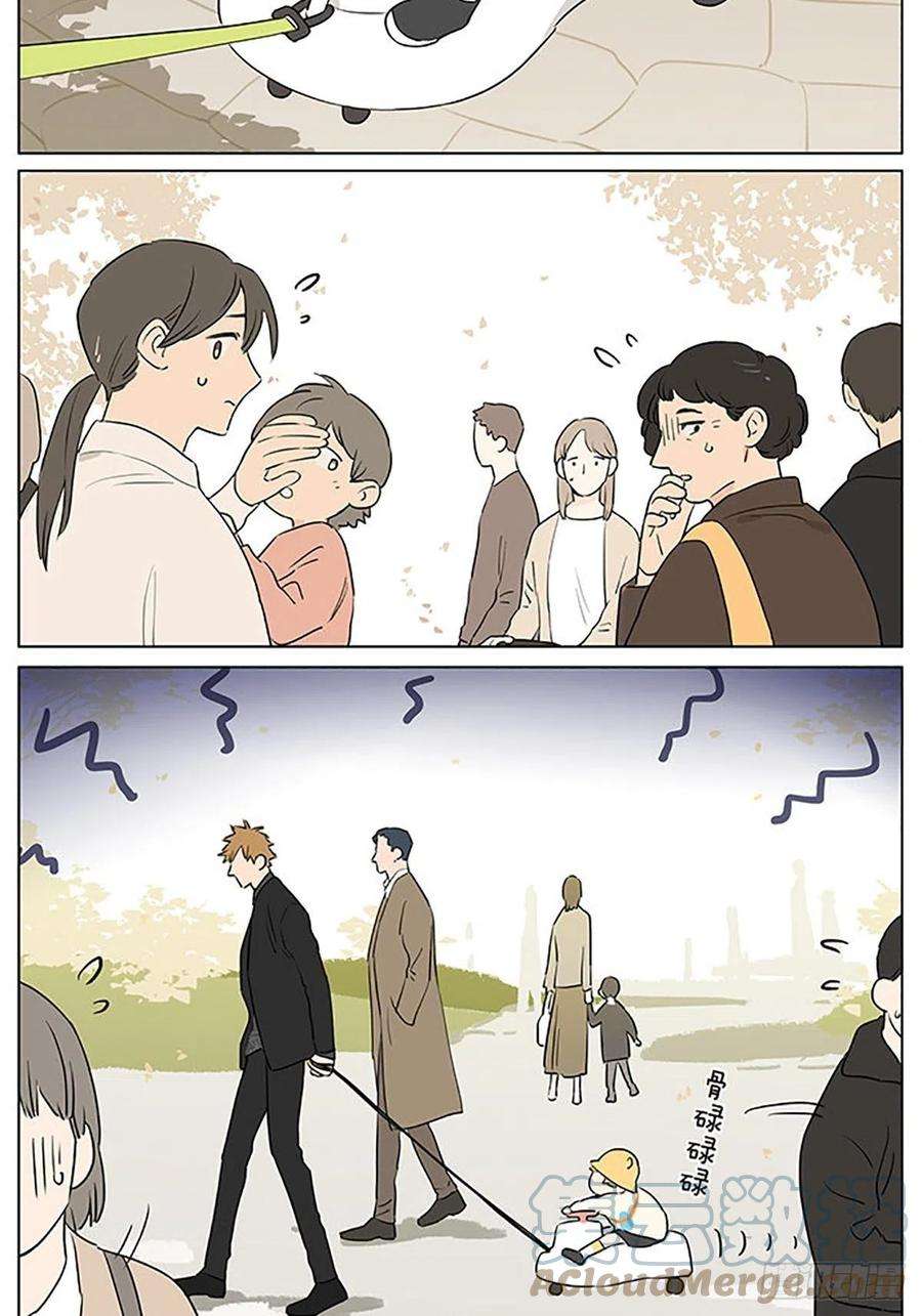 捡了东西的狼还是那一天