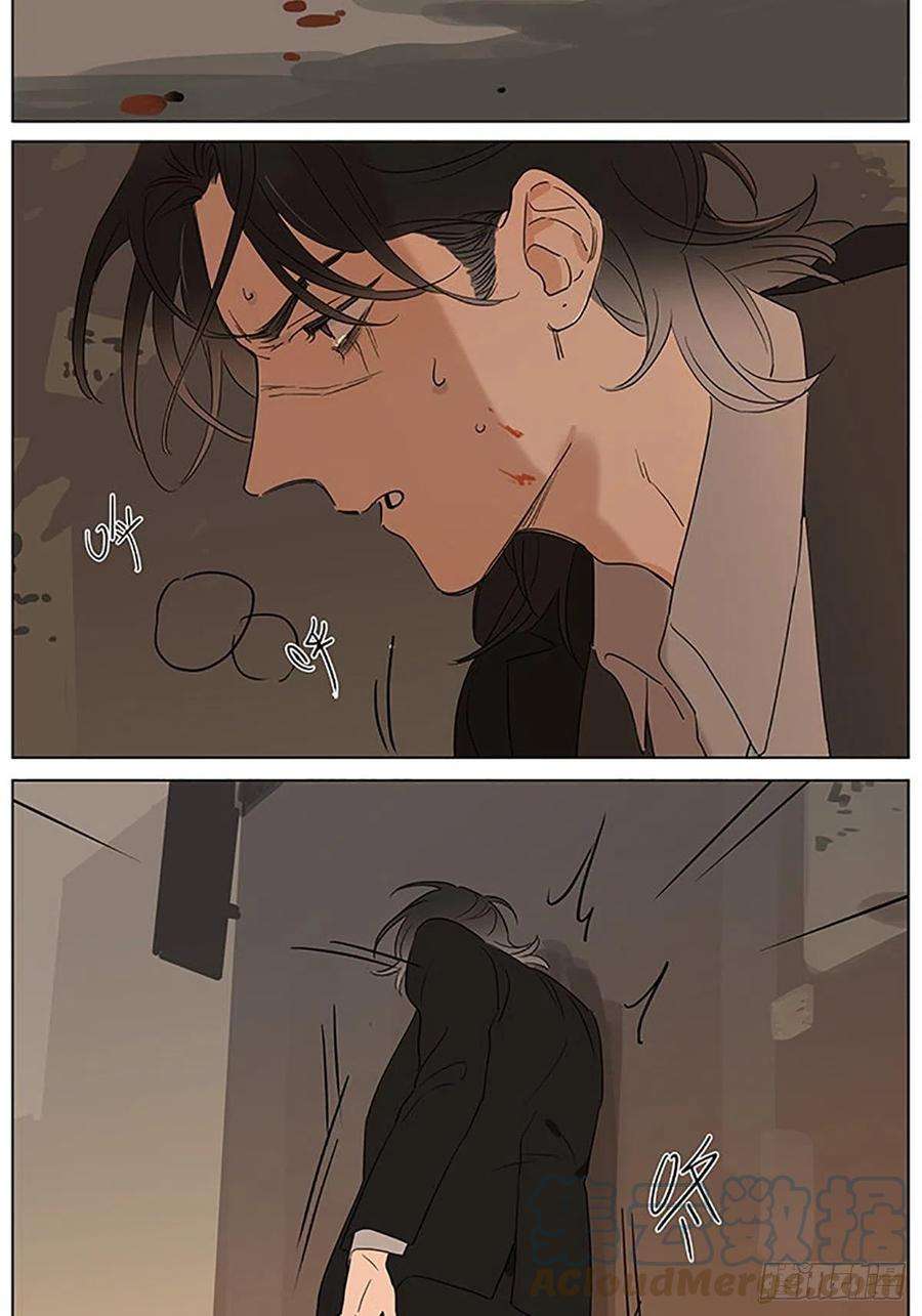 捡了东西的狼晚安