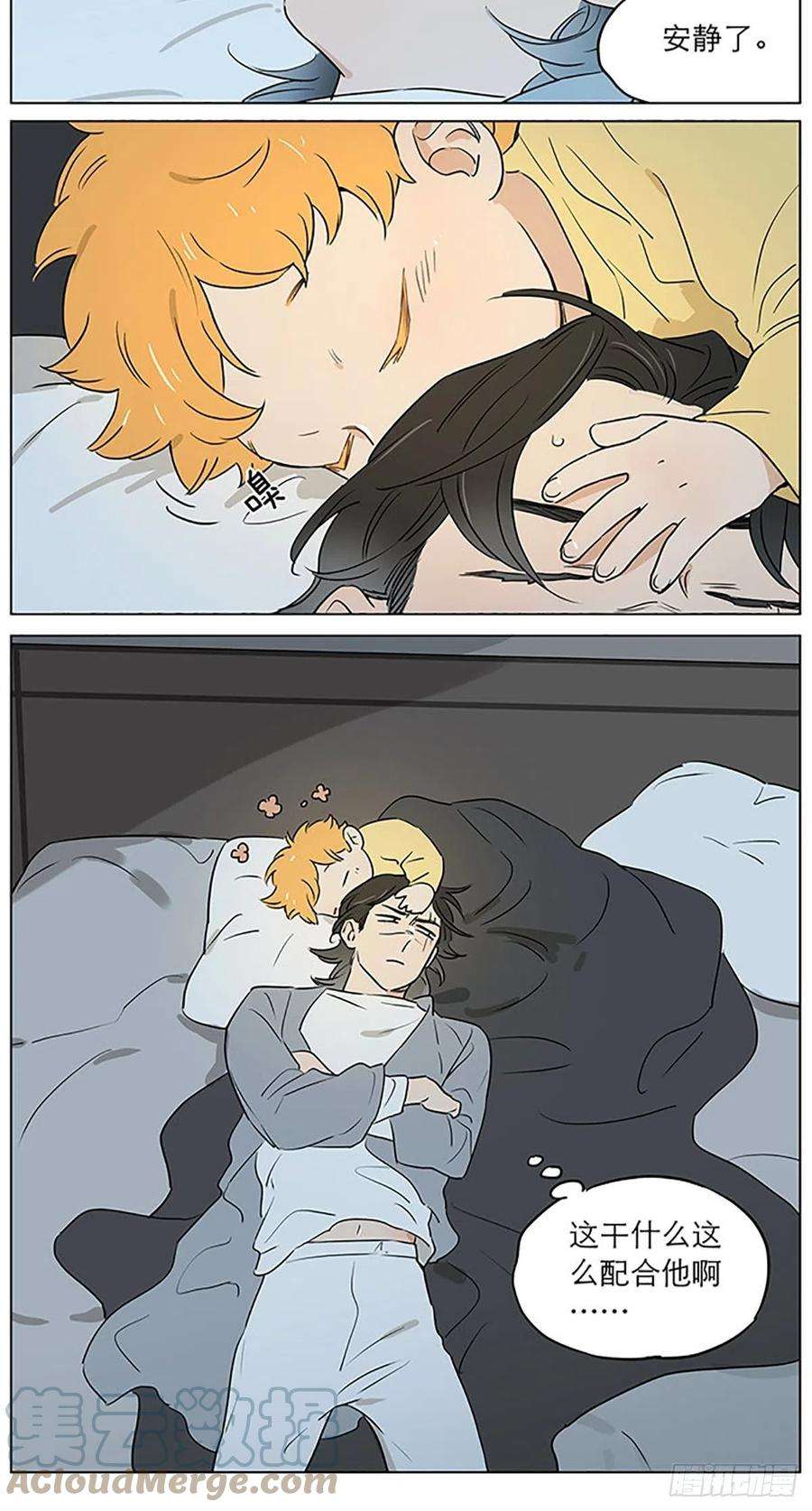 捡了东西的狼晚安