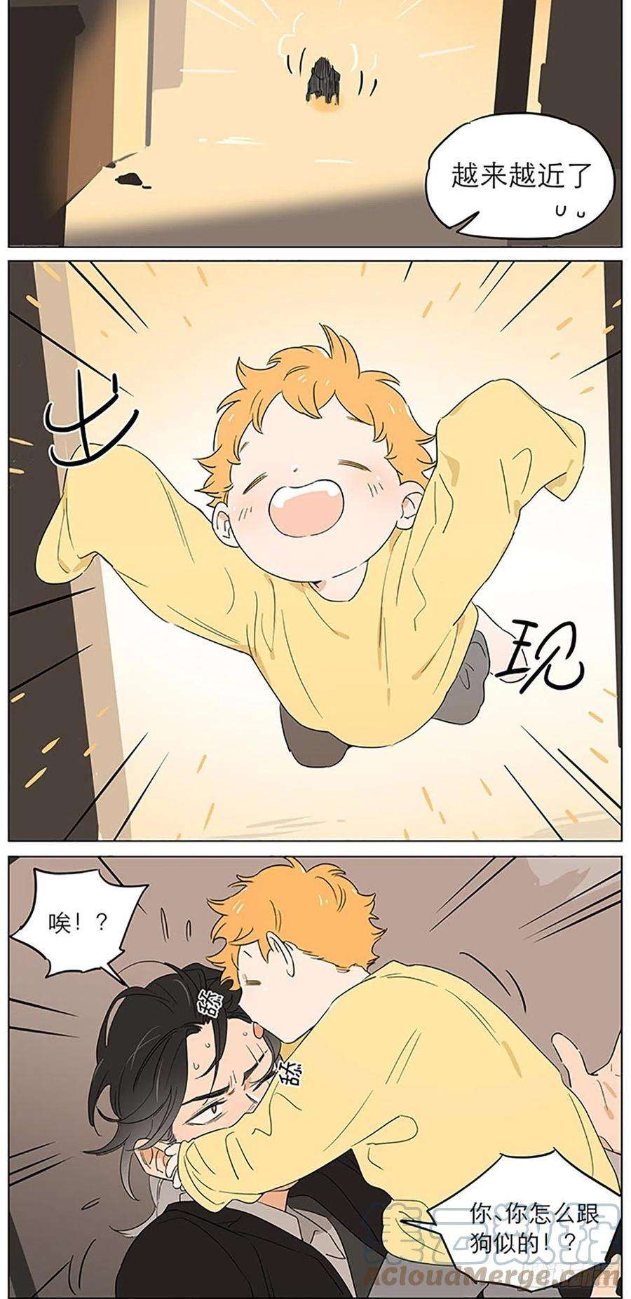 捡了东西的狼晚安