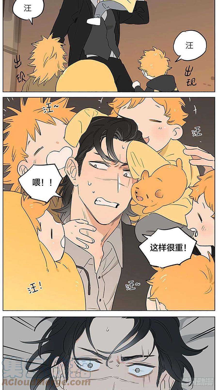 捡了东西的狼晚安