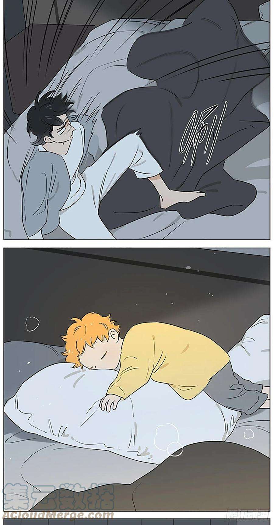 捡了东西的狼晚安