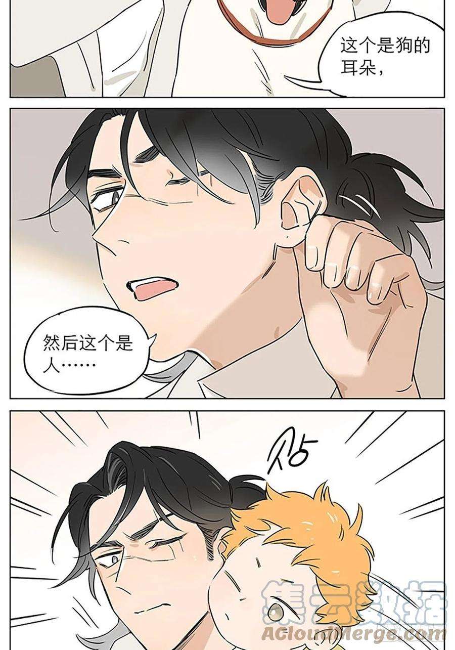 捡了东西的狼关于教导小朋友