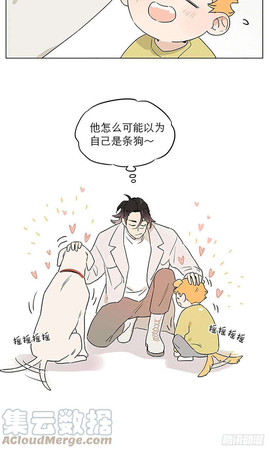 捡了东西的狼关于教导小朋友