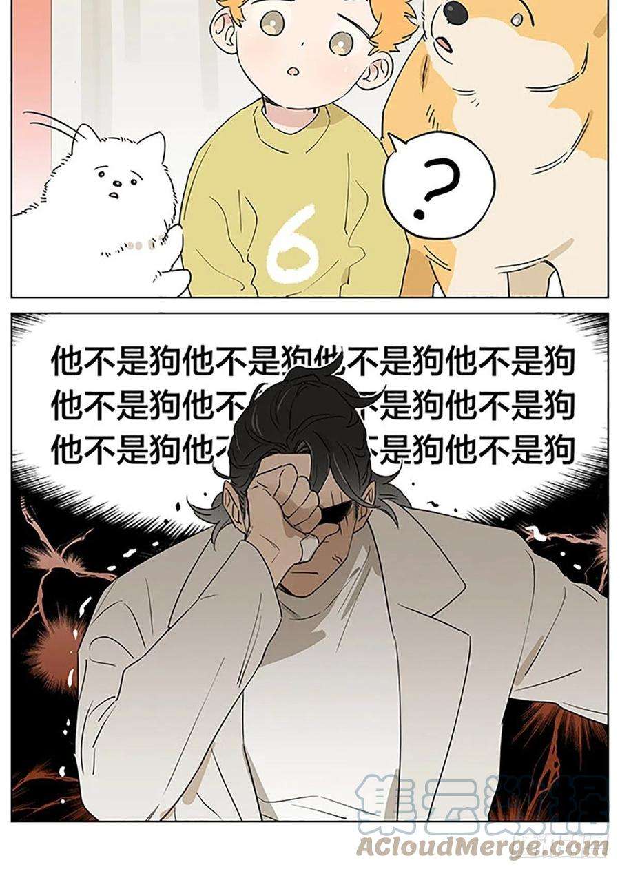 捡了东西的狼关于教导小朋友