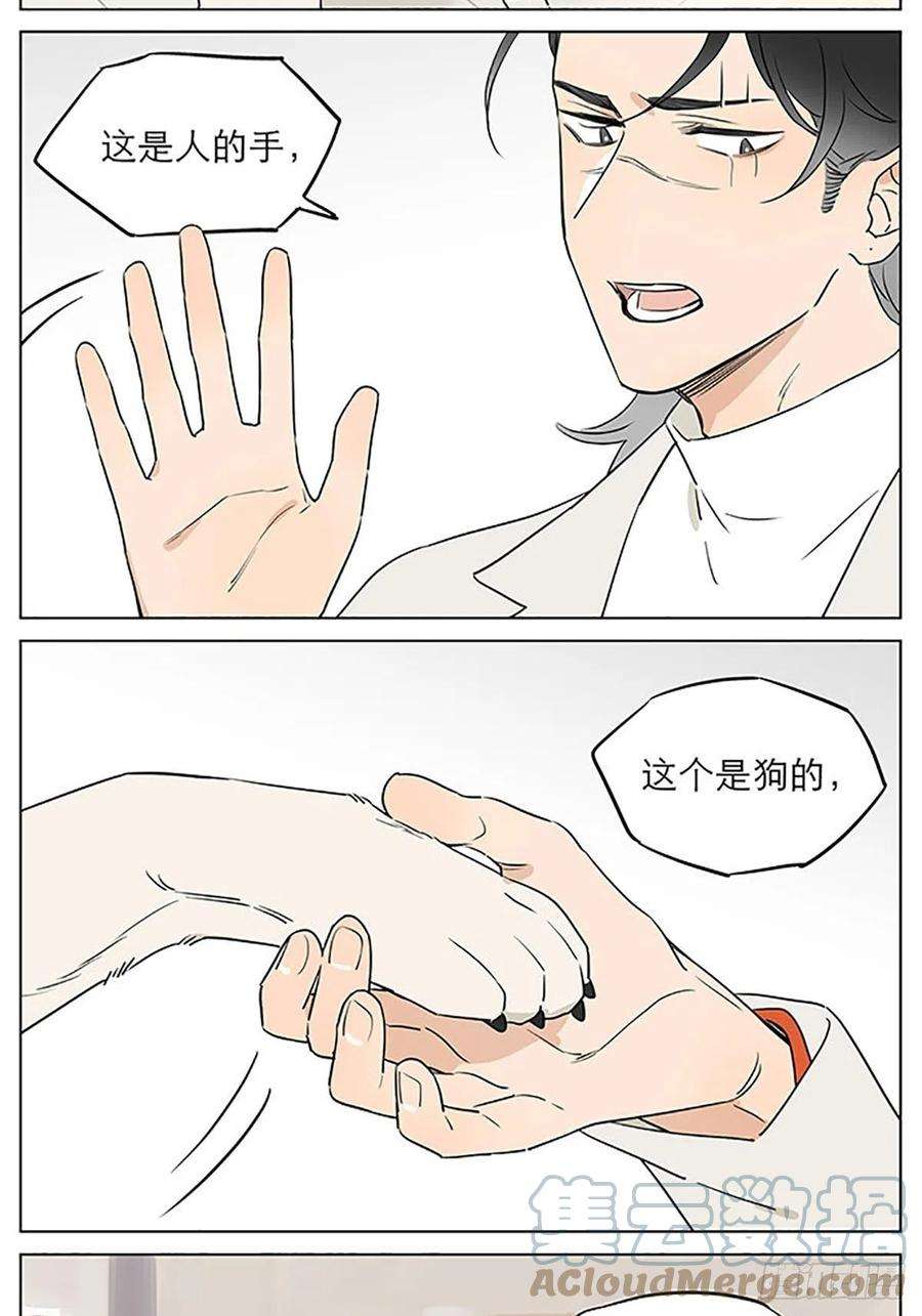 捡了东西的狼关于教导小朋友