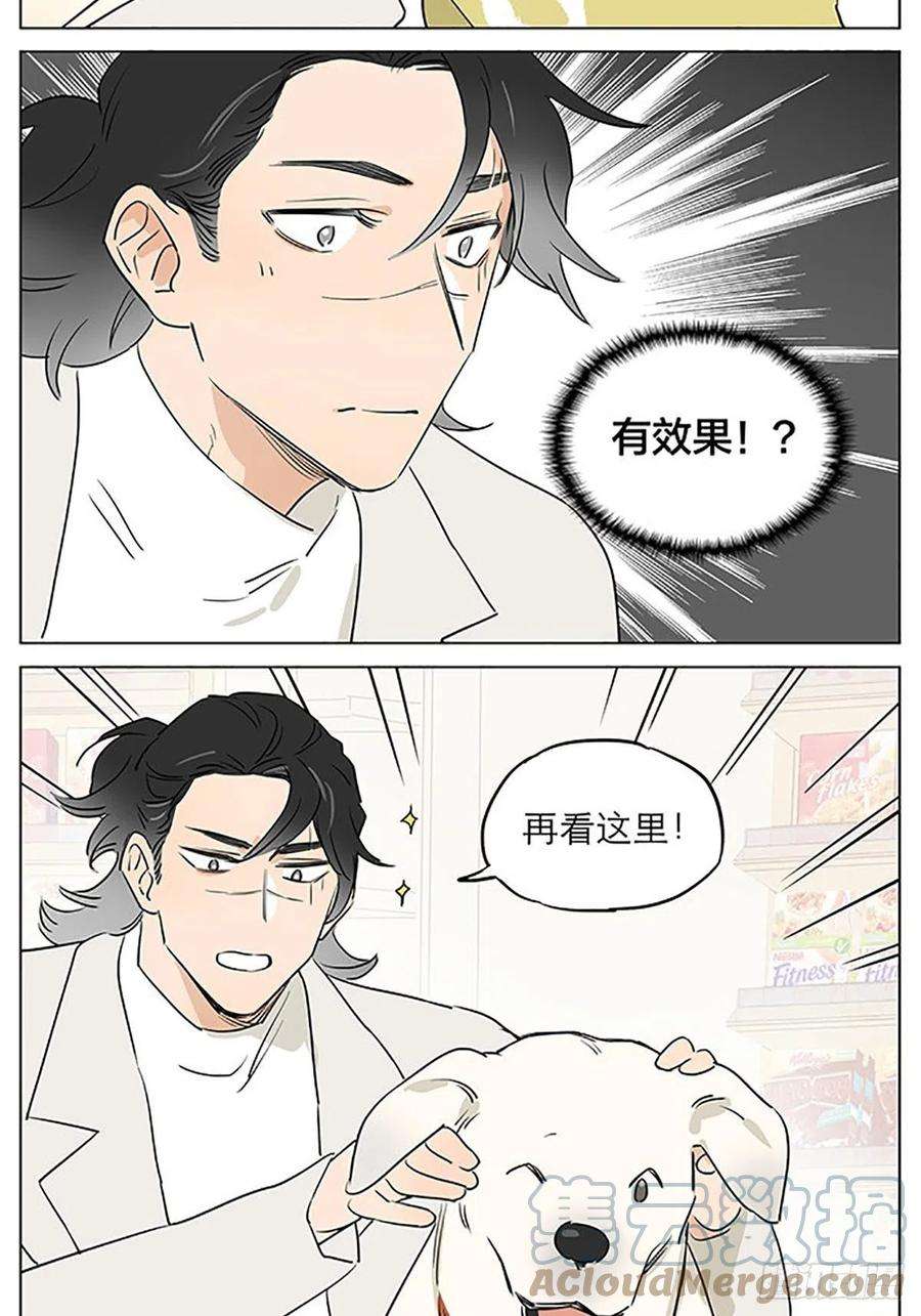 捡了东西的狼关于教导小朋友