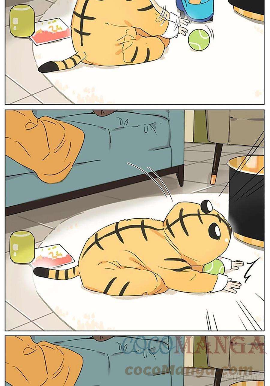 捡了东西的狼小老虎