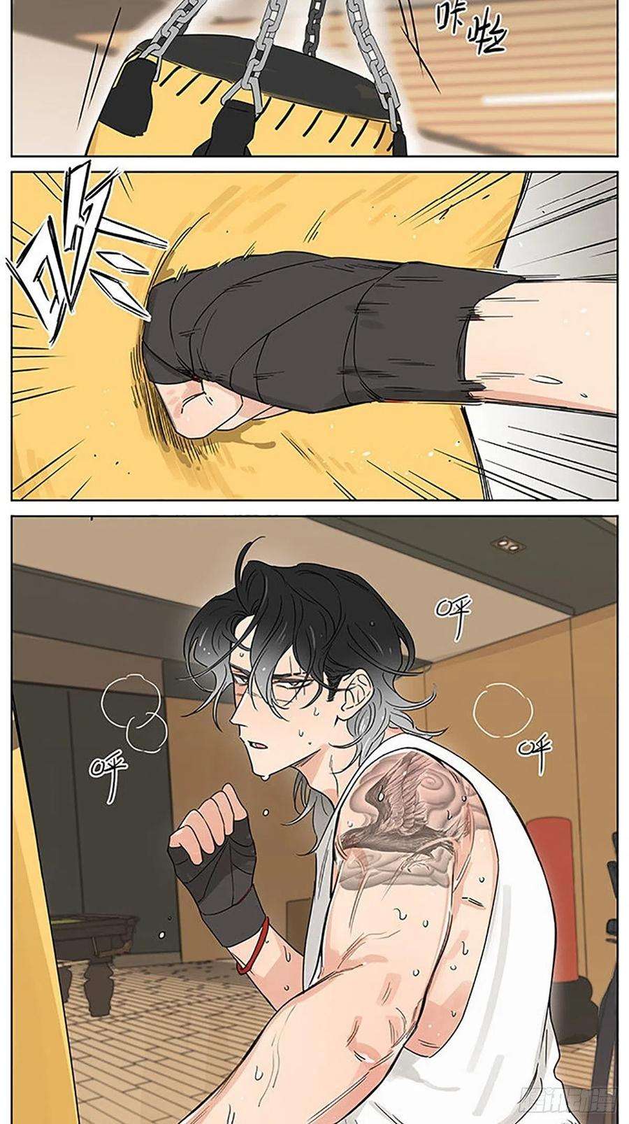 捡了东西的狼旧伤