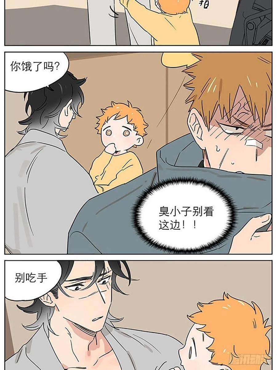 捡了东西的狼旧伤