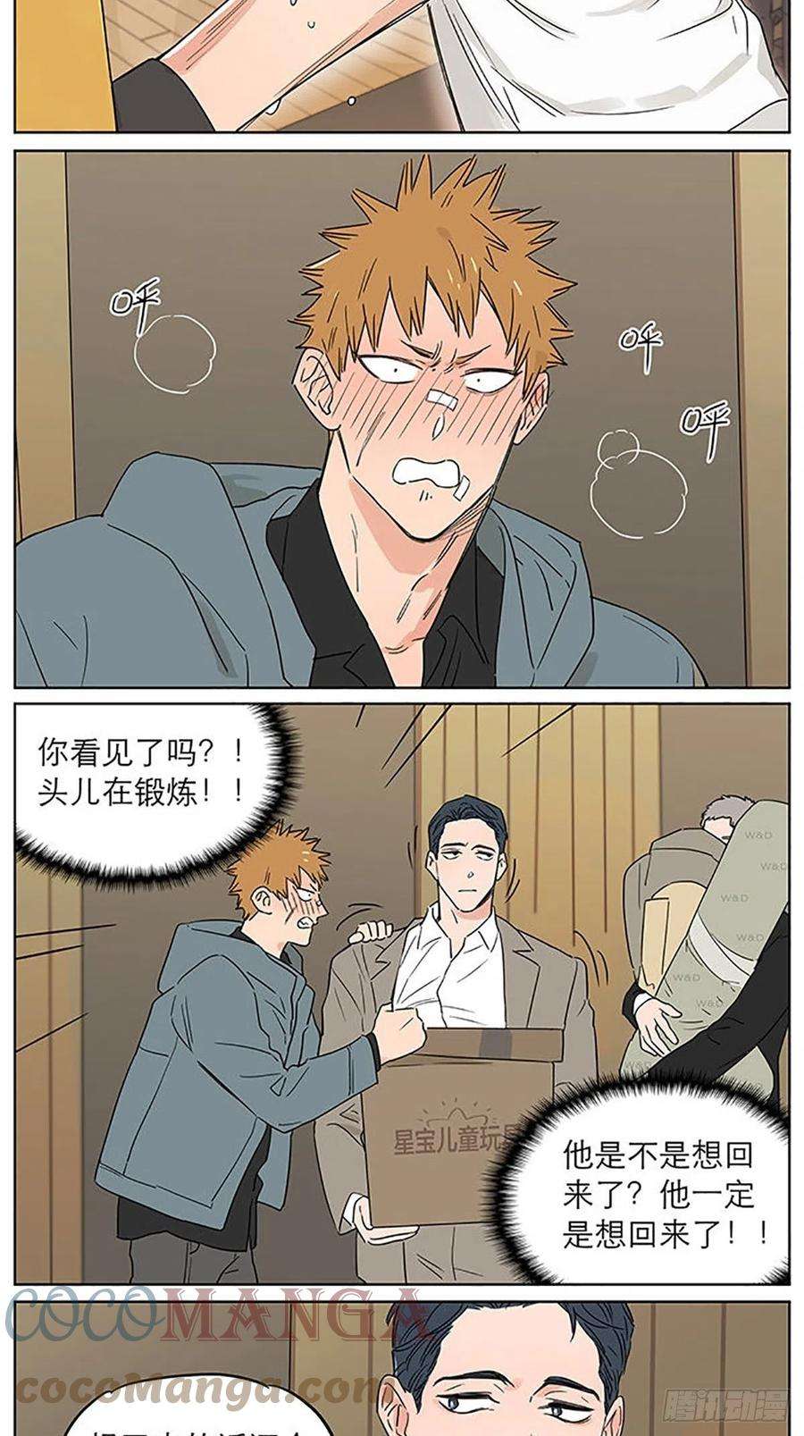 捡了东西的狼旧伤