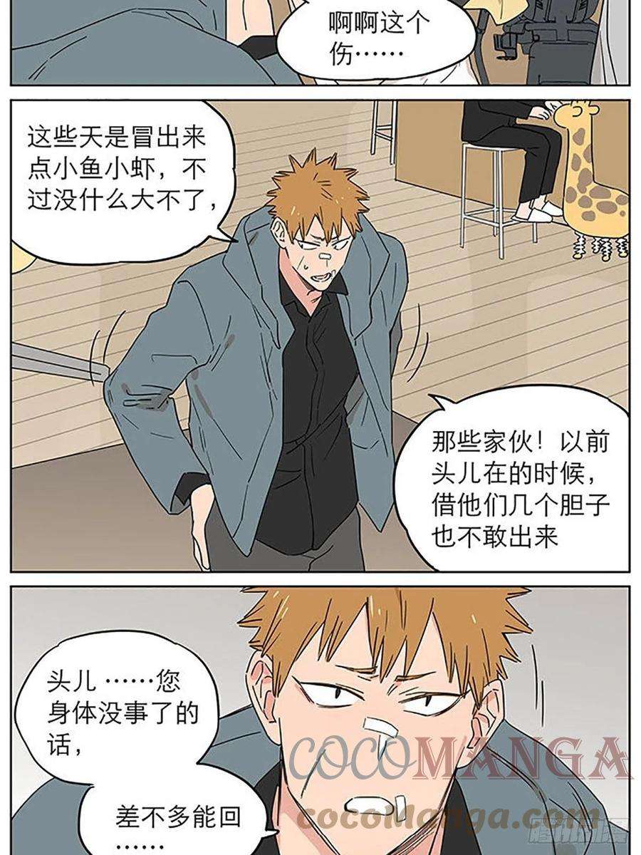 捡了东西的狼旧伤