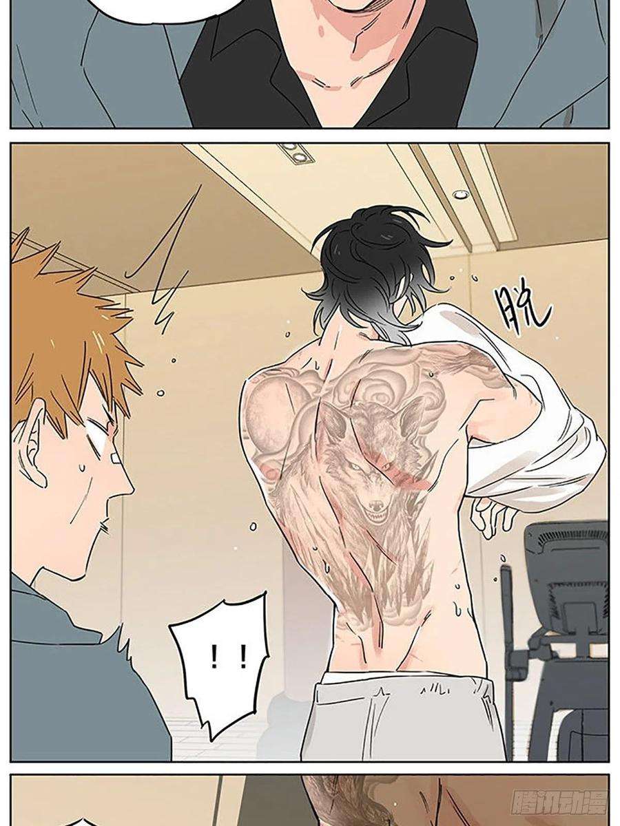 捡了东西的狼旧伤