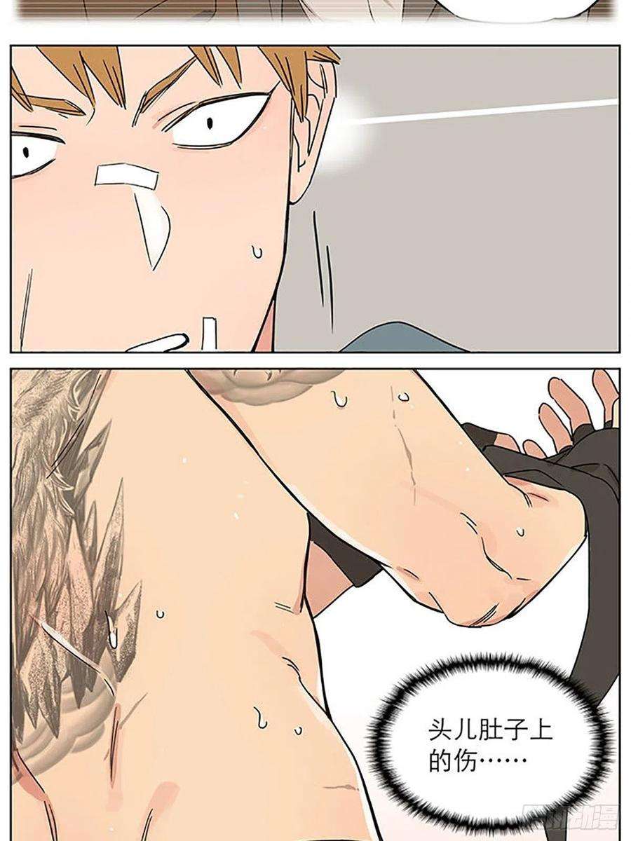 捡了东西的狼旧伤