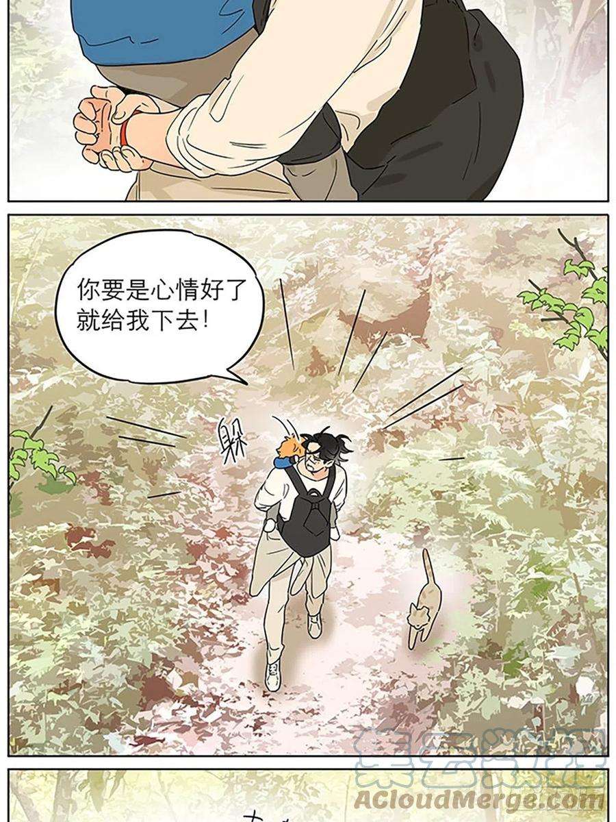 捡了东西的狼记忆的地方
