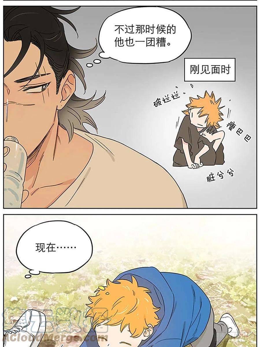 捡了东西的狼记忆的地方