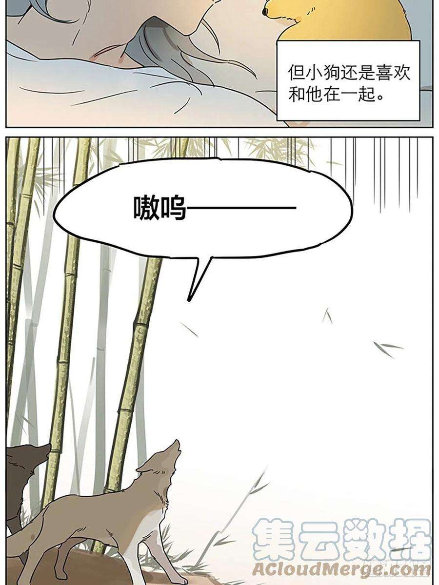捡了东西的狼小狗的故事