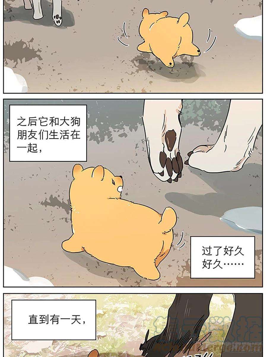 捡了东西的狼小狗的故事