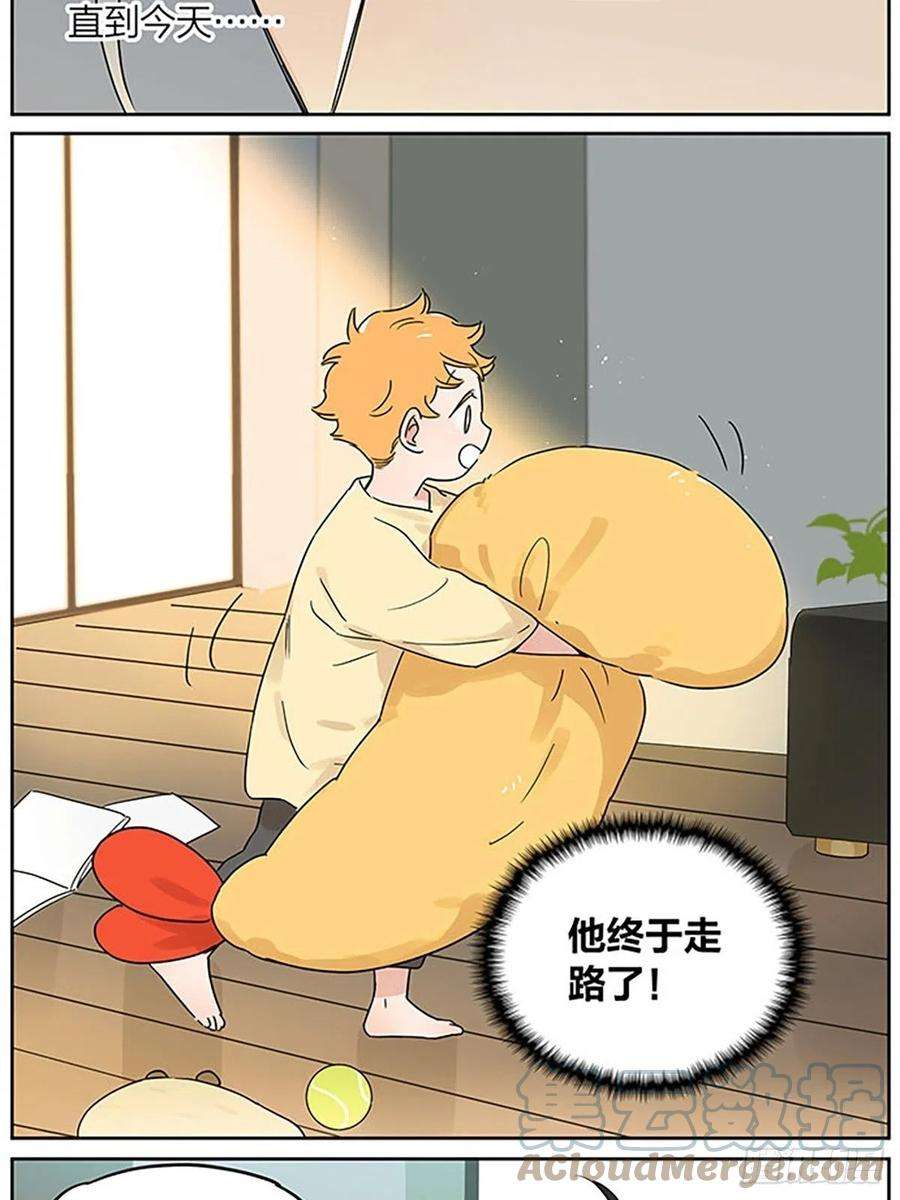 捡了东西的狼新的一天 ​​​