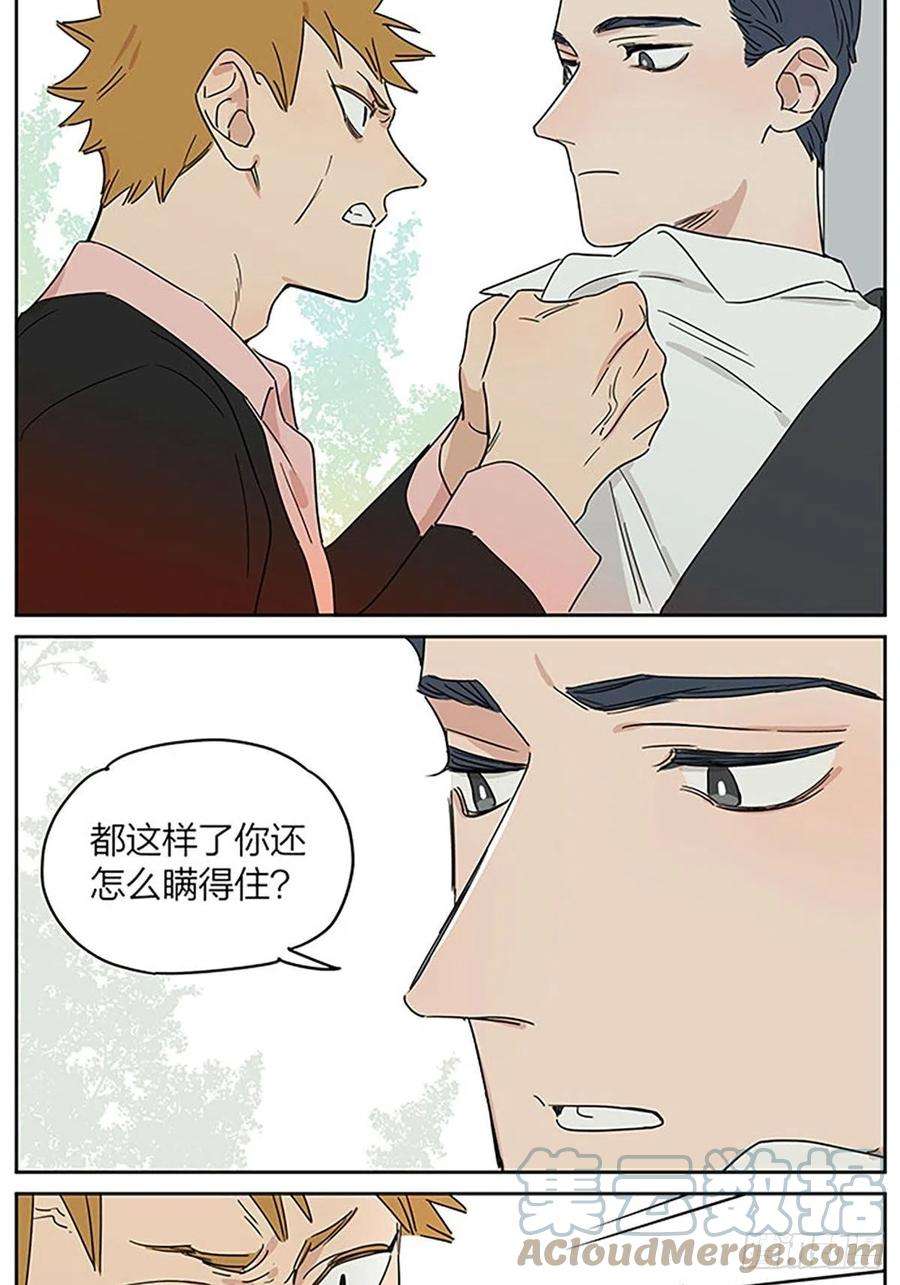捡了东西的狼故事继续