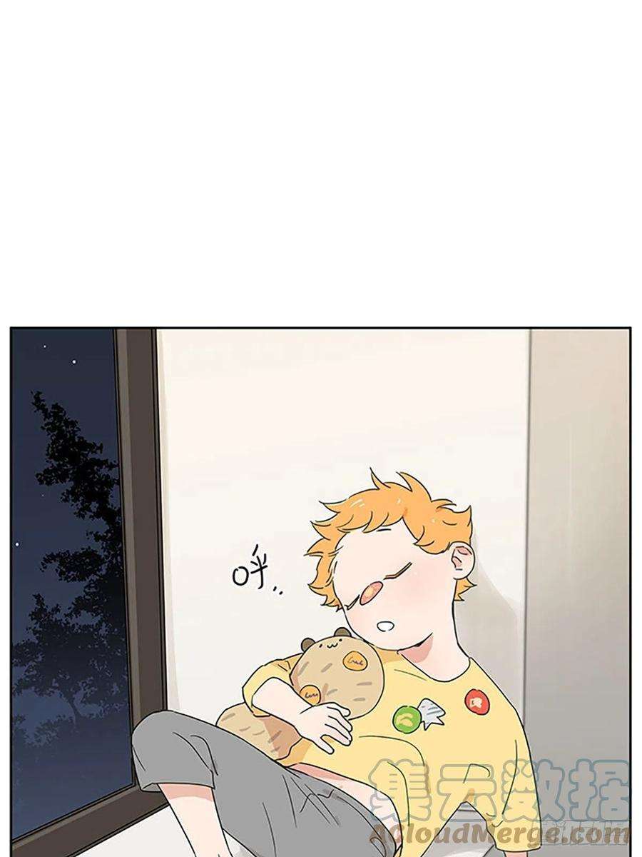 捡了东西的狼秘密