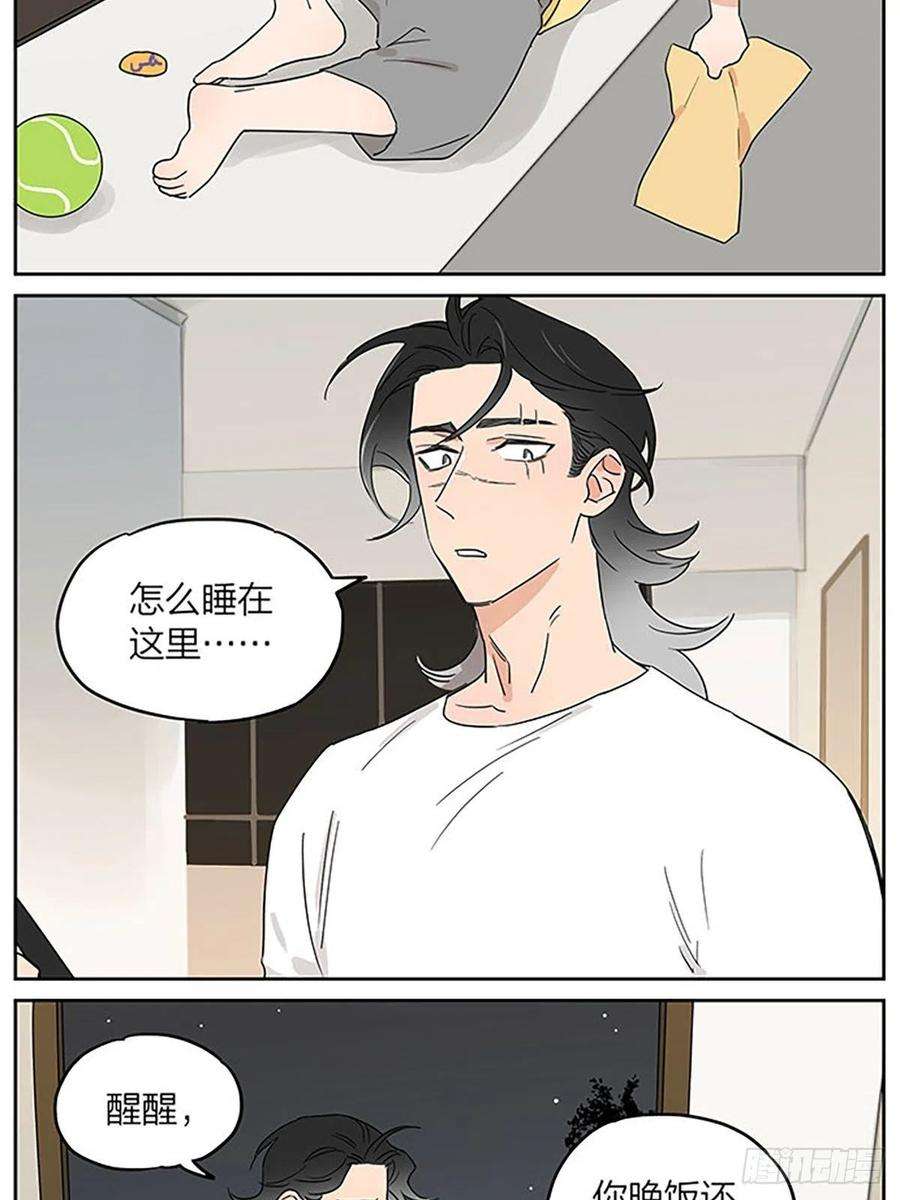 捡了东西的狼秘密