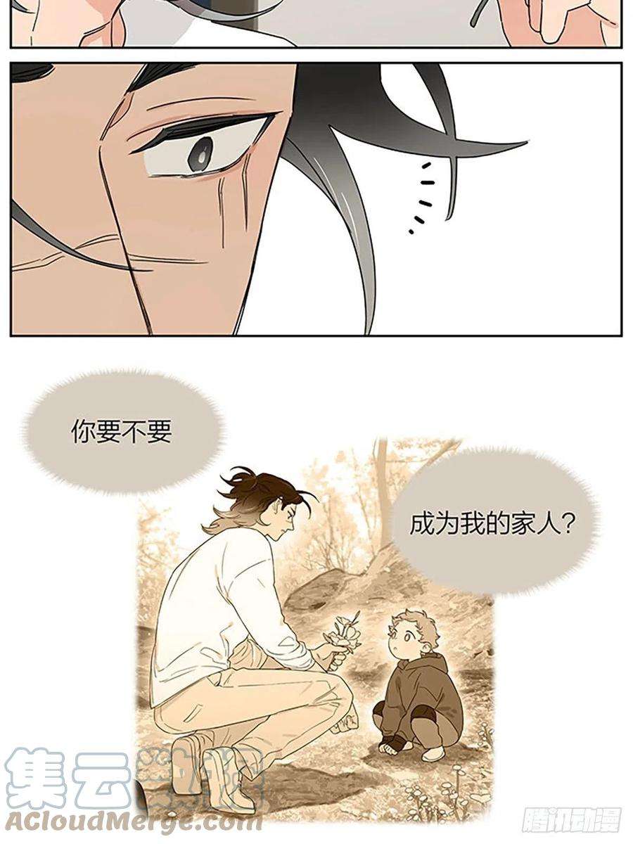 捡了东西的狼秘密