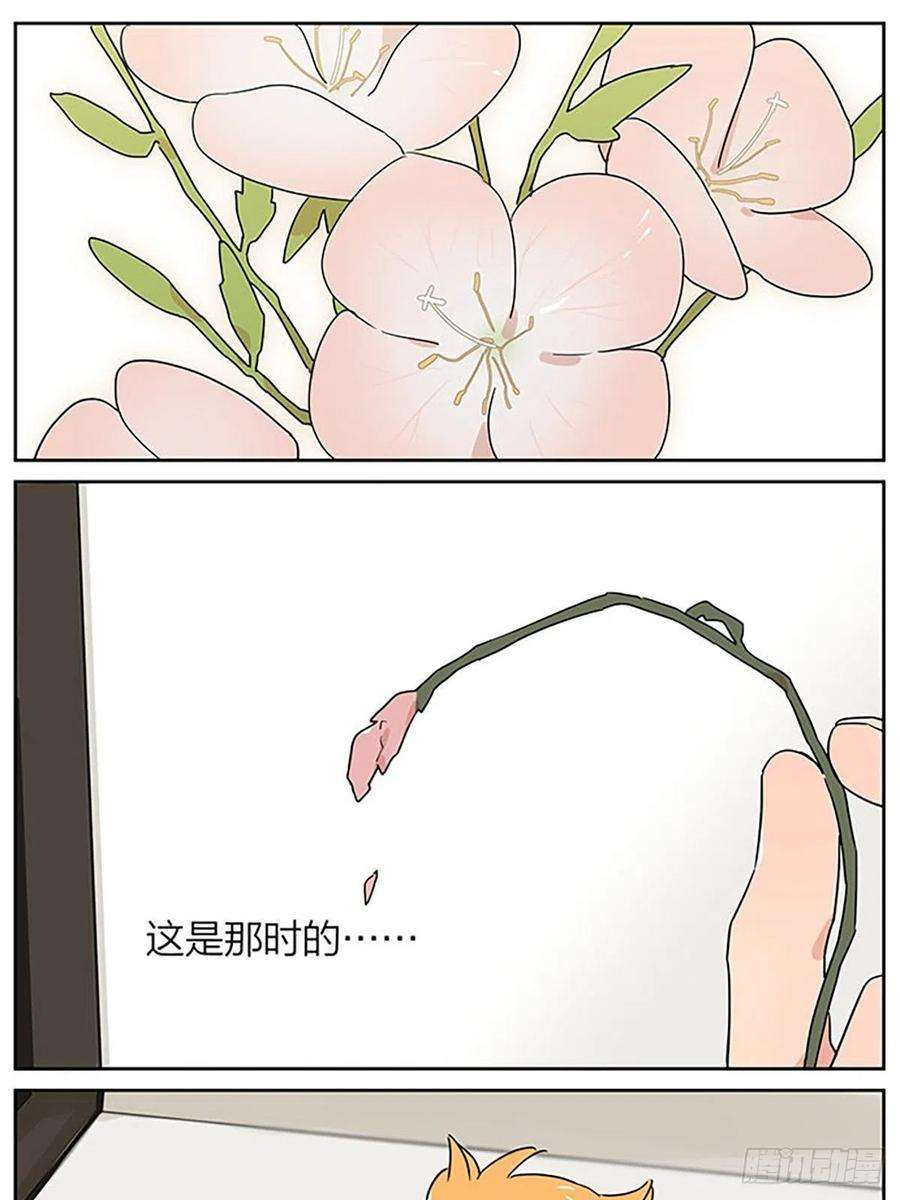 捡了东西的狼秘密
