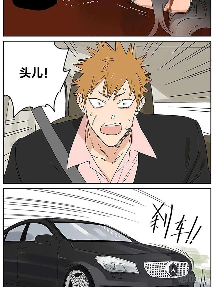 捡了东西的狼秘密