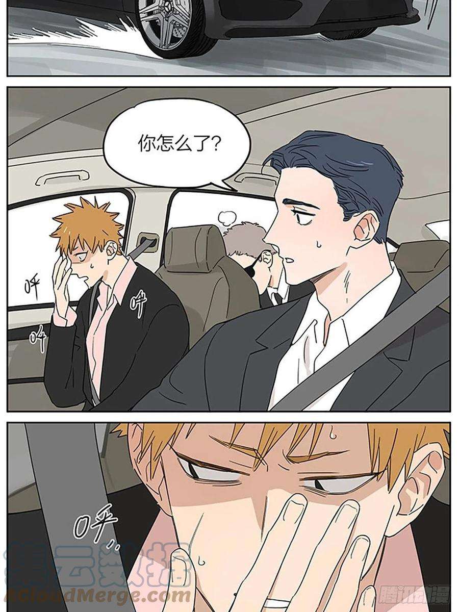 捡了东西的狼秘密