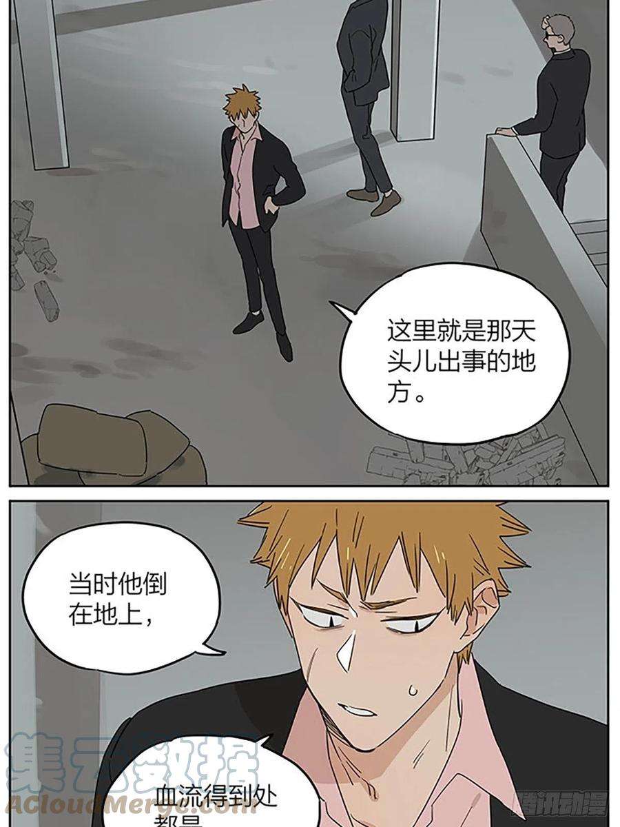 捡了东西的狼秘密