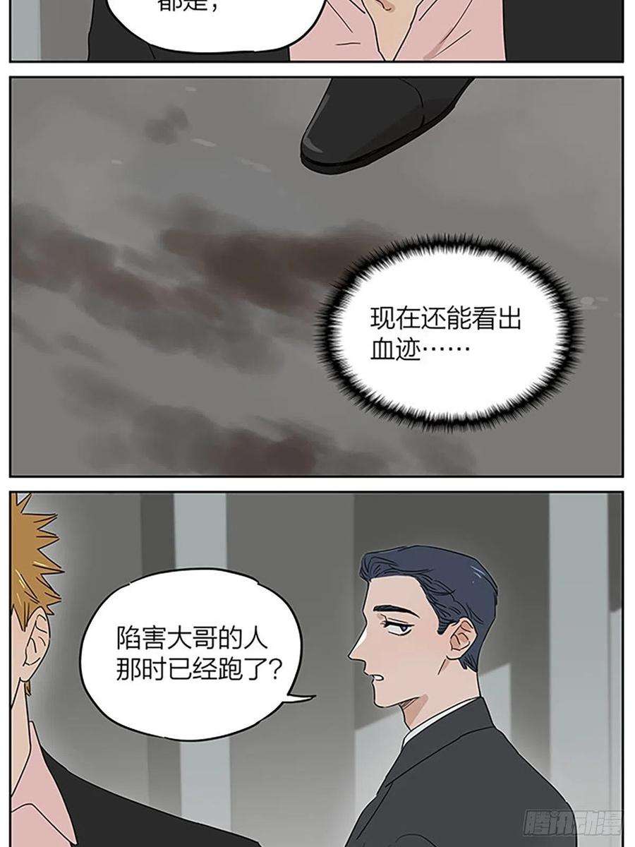 捡了东西的狼秘密