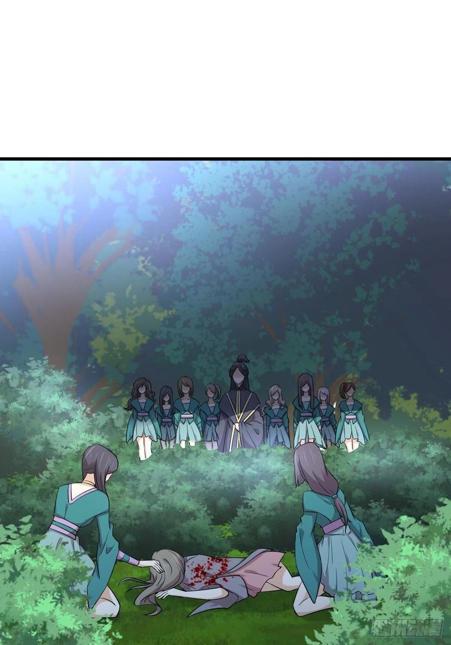 本剑仙绝不吃软饭198话 最年轻的化境武者