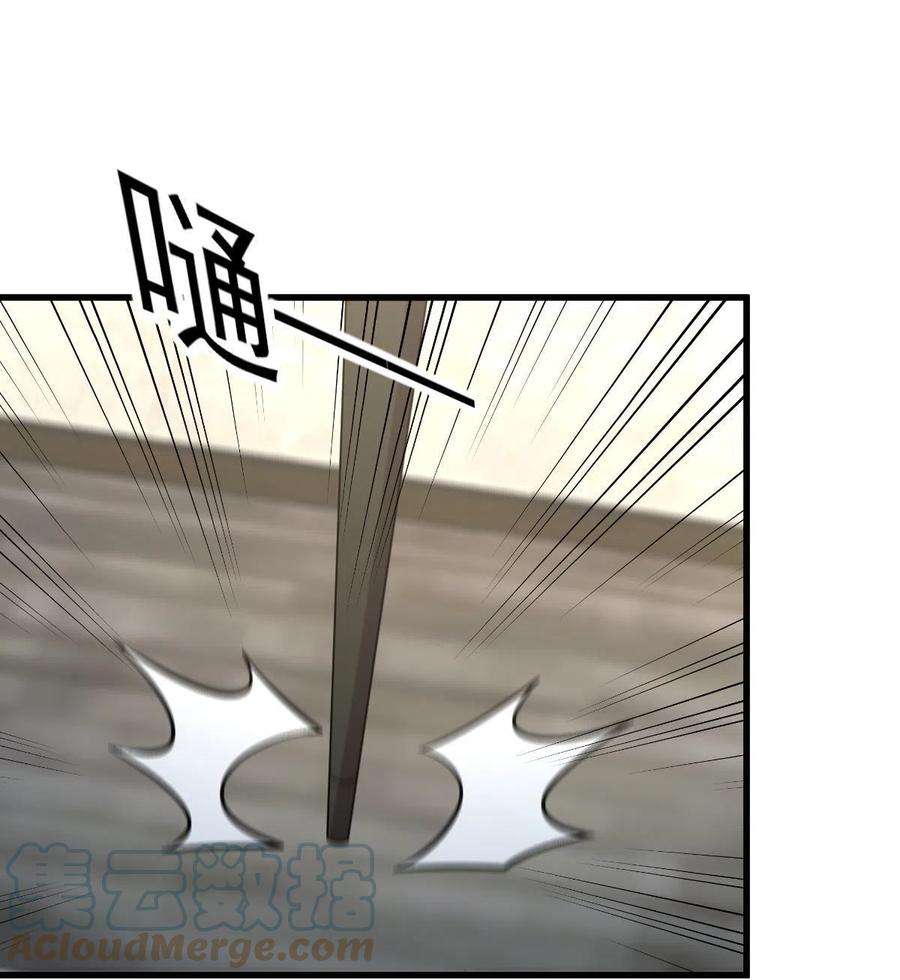 本剑仙绝不吃软饭250话 长老出手