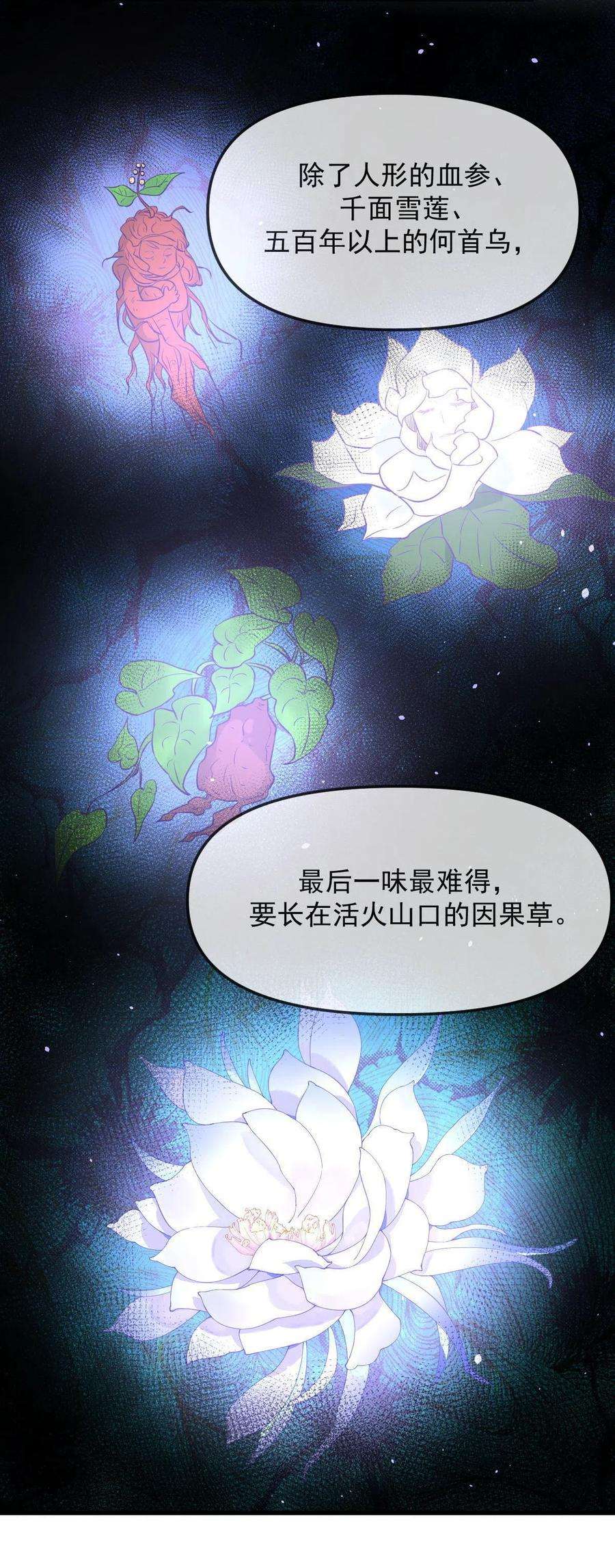 本剑仙绝不吃软饭265话 萧、叶合作