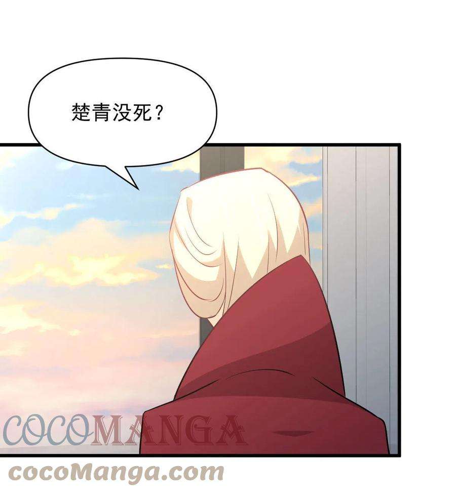 本剑仙绝不吃软饭271话 是个宝贝